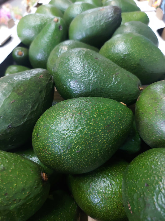Loose Large Feurte Avo's