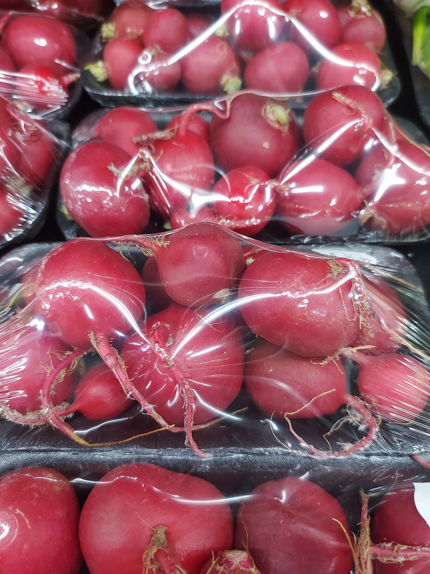 Organic Raddish