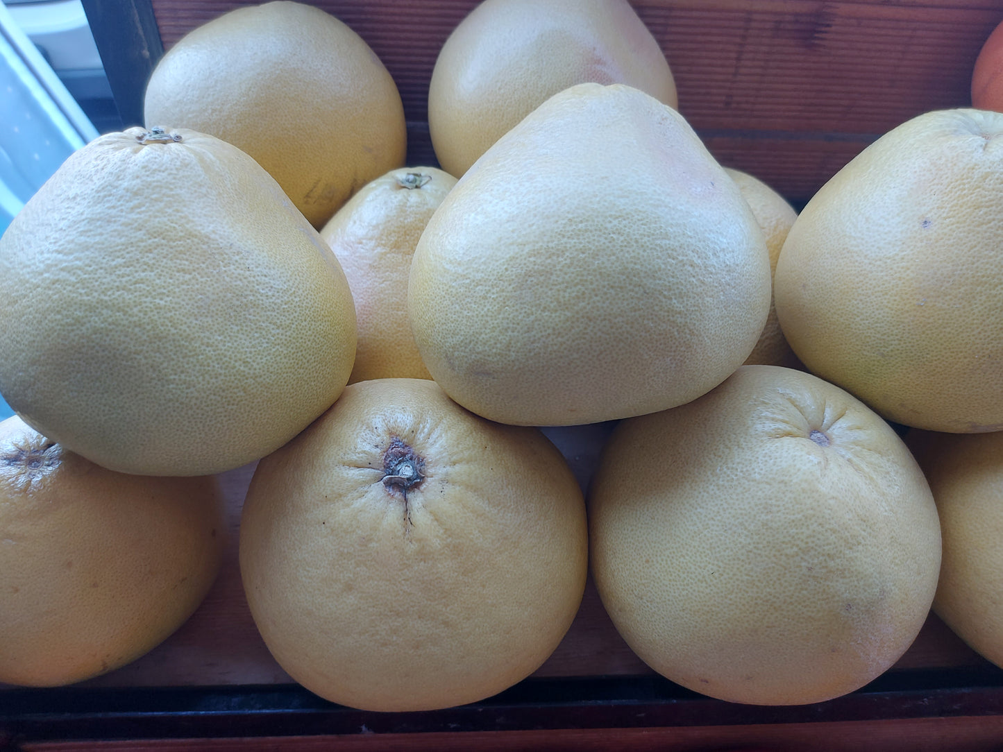 Large Size Pomelo's