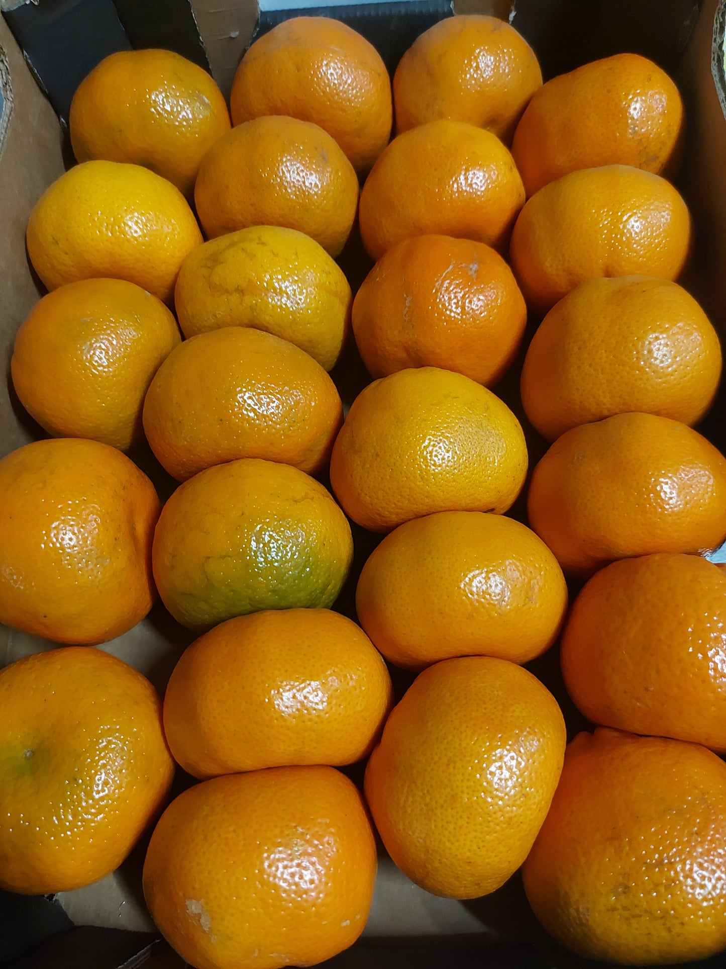 Sweet Seedless Tangerines