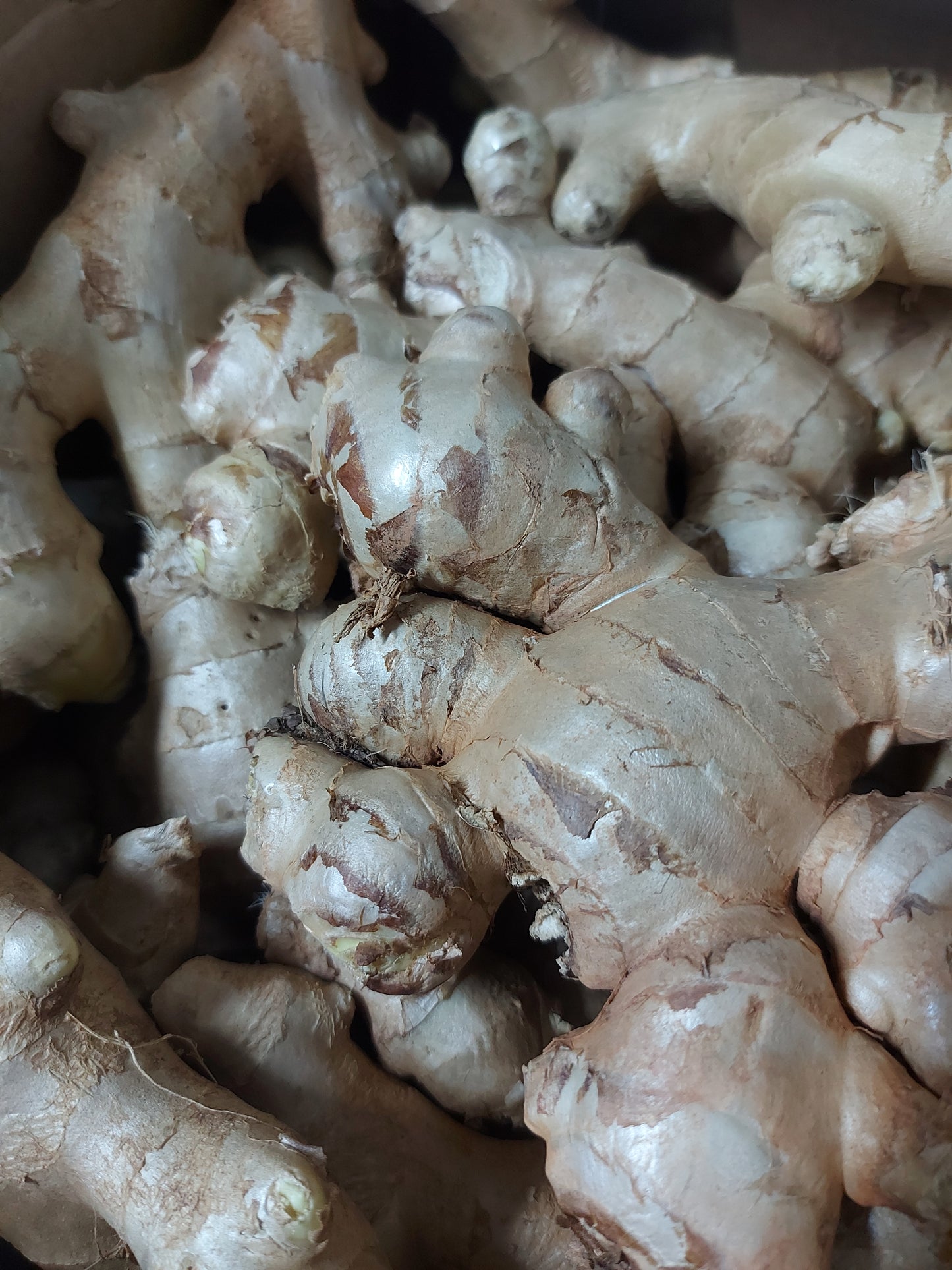 Fresh Ginger